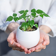 SDGsへの取り組み